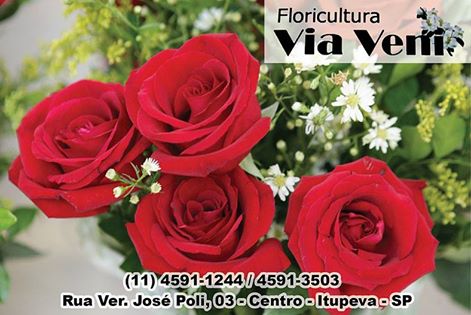 Via Veni  Floricultura Itupeva