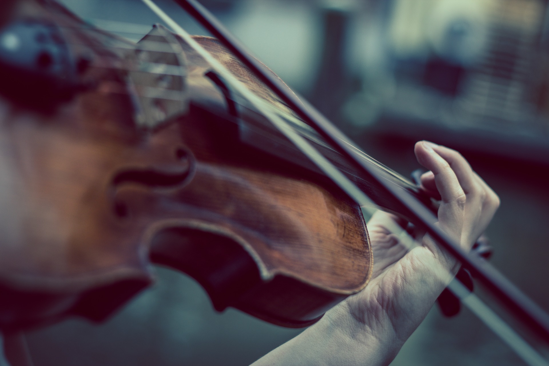 História do Violino